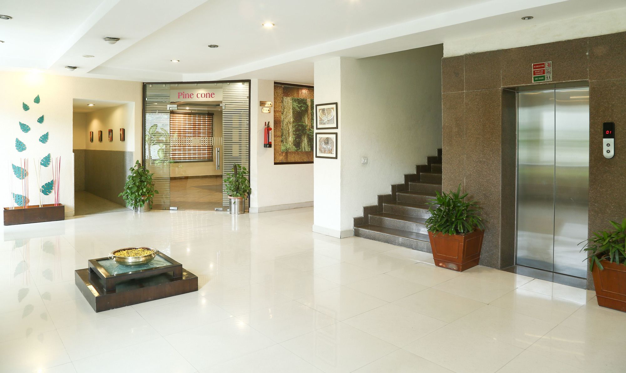 Treebo Trend Gk Conifer Dharamshala Exterior foto